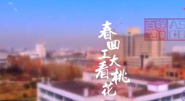 桃花節(jié)